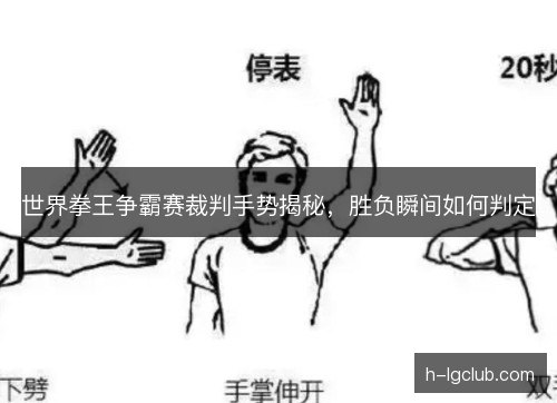 世界拳王争霸赛裁判手势揭秘,胜负瞬间如何判定 世界拳王争霸赛裁判手势揭秘,胜负瞬间如何判定